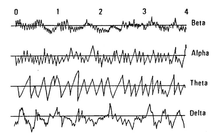 ondes  cerebrales