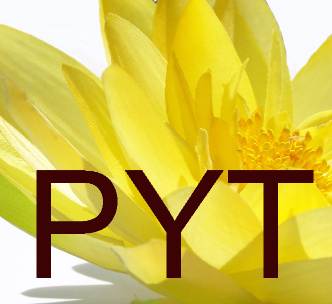 Professeur  Yoga  Therapeutique